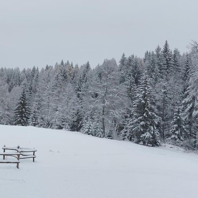 Agriturismo Piangembro Corteno Golgi ภายนอก รูปภาพ